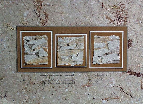 3 Fish Gyotaku
