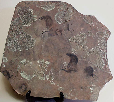 Cave Painted Rock