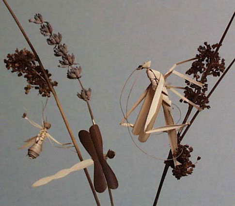 Plaited Grass Bugs