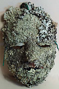 Lichen Mask