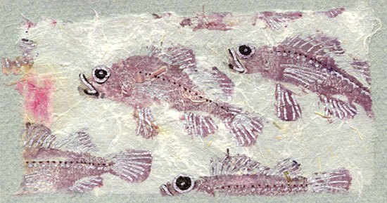 Sebastes Gyotaku