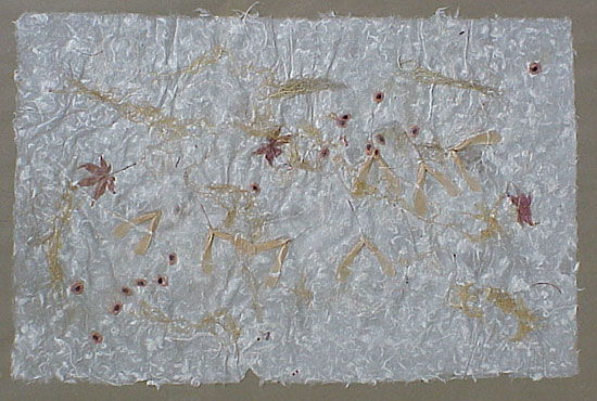 Milkweed Paper